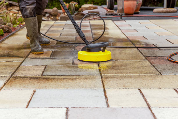 Best Dumpster Area Cleaning  in North Patchogue, NY